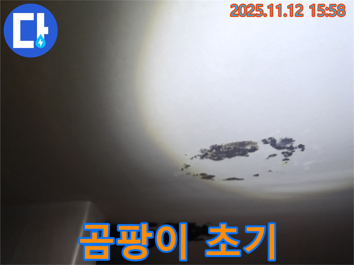 군내면 - 곰팡이가 초기 발생한 천장 누수 현장
