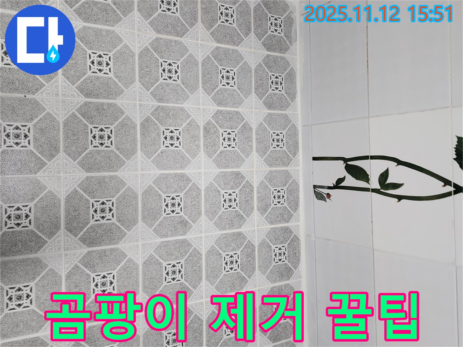 군내면 구읍리 욕실 곰팡이 - 곰팡이 제거 후 청소 꿀팁