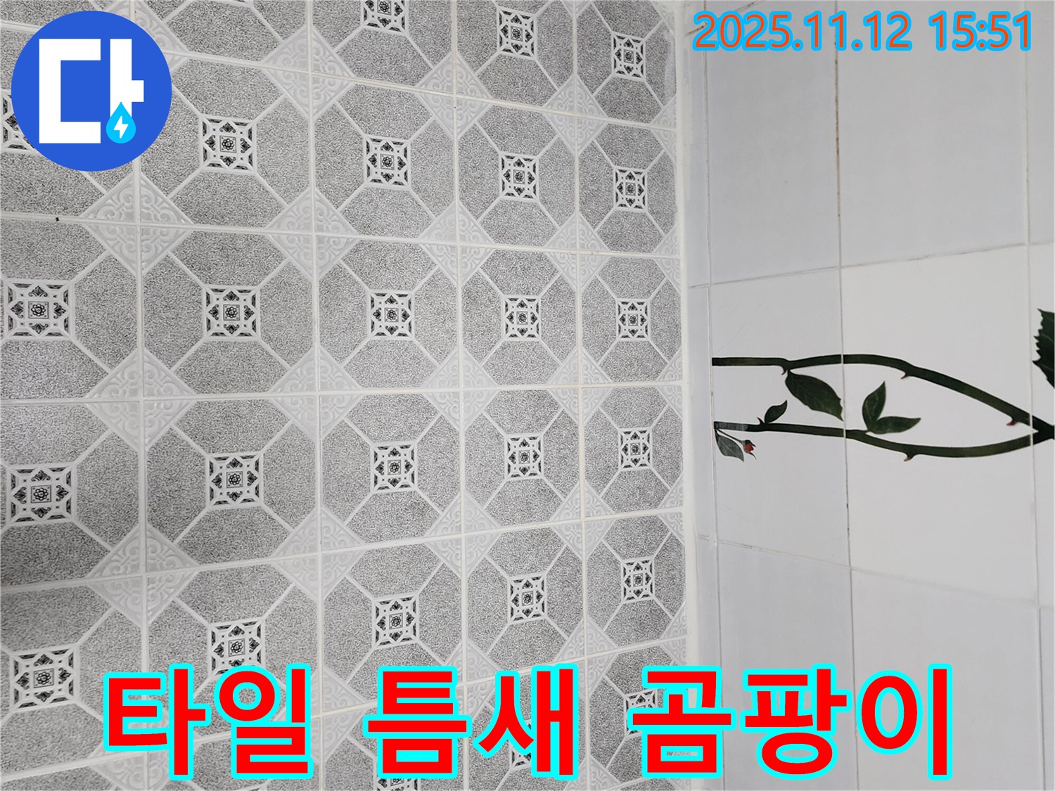 군내면 구읍리 타일 틈새 곰팡이 - 과탄산소다 활용 꿀팁