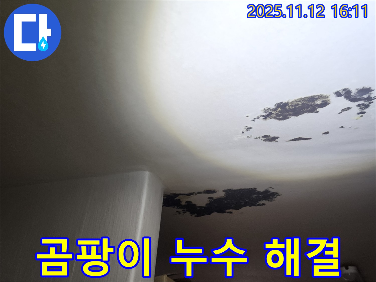군내면 누수 - 곰팡이 & 누수 고민 해결, 쾌적한 우리 집 만들기