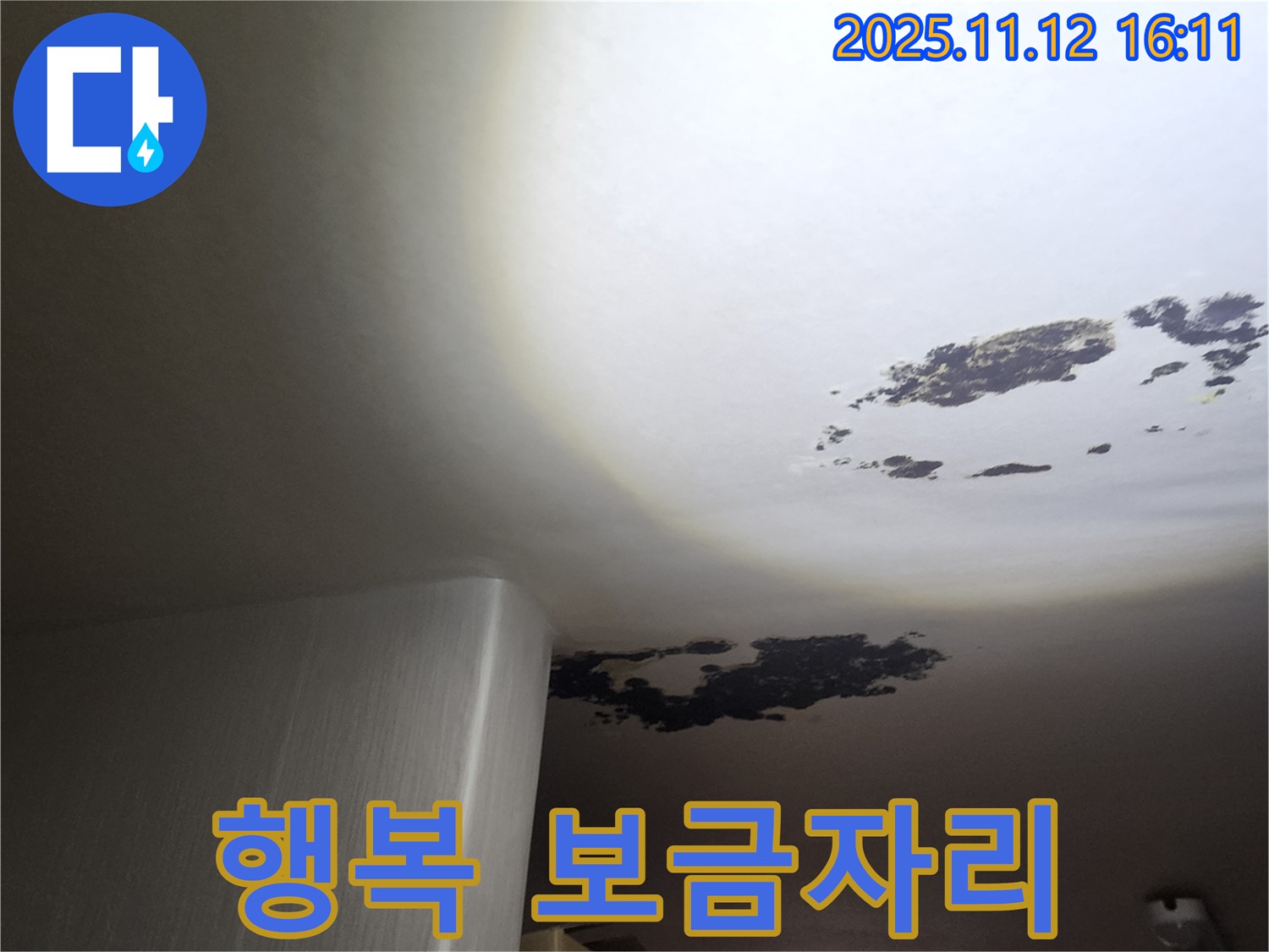 군내면 누수 - 곰팡이 천장 ByeBye, 행복한 보금자리