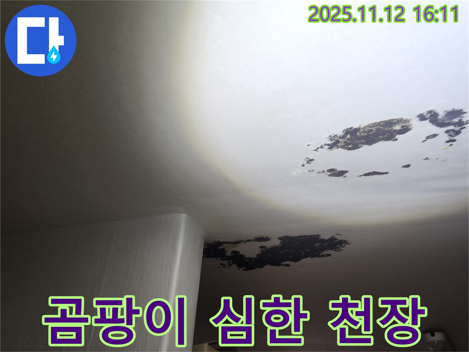 군내면 누수 - 곰팡이가 심하게 핀 천장