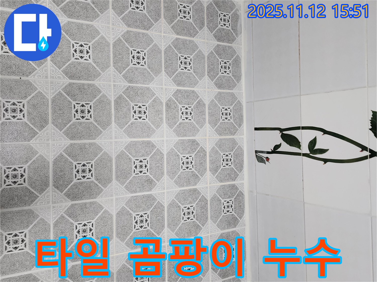 군내면 타일 곰팡이 누수 - 곰팡이 제거와 완벽한 누수 차단
