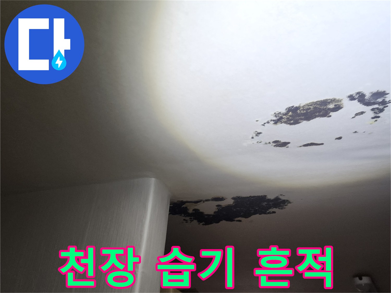누수로 인해-습기가 머문 천장의 곰팡이 자국