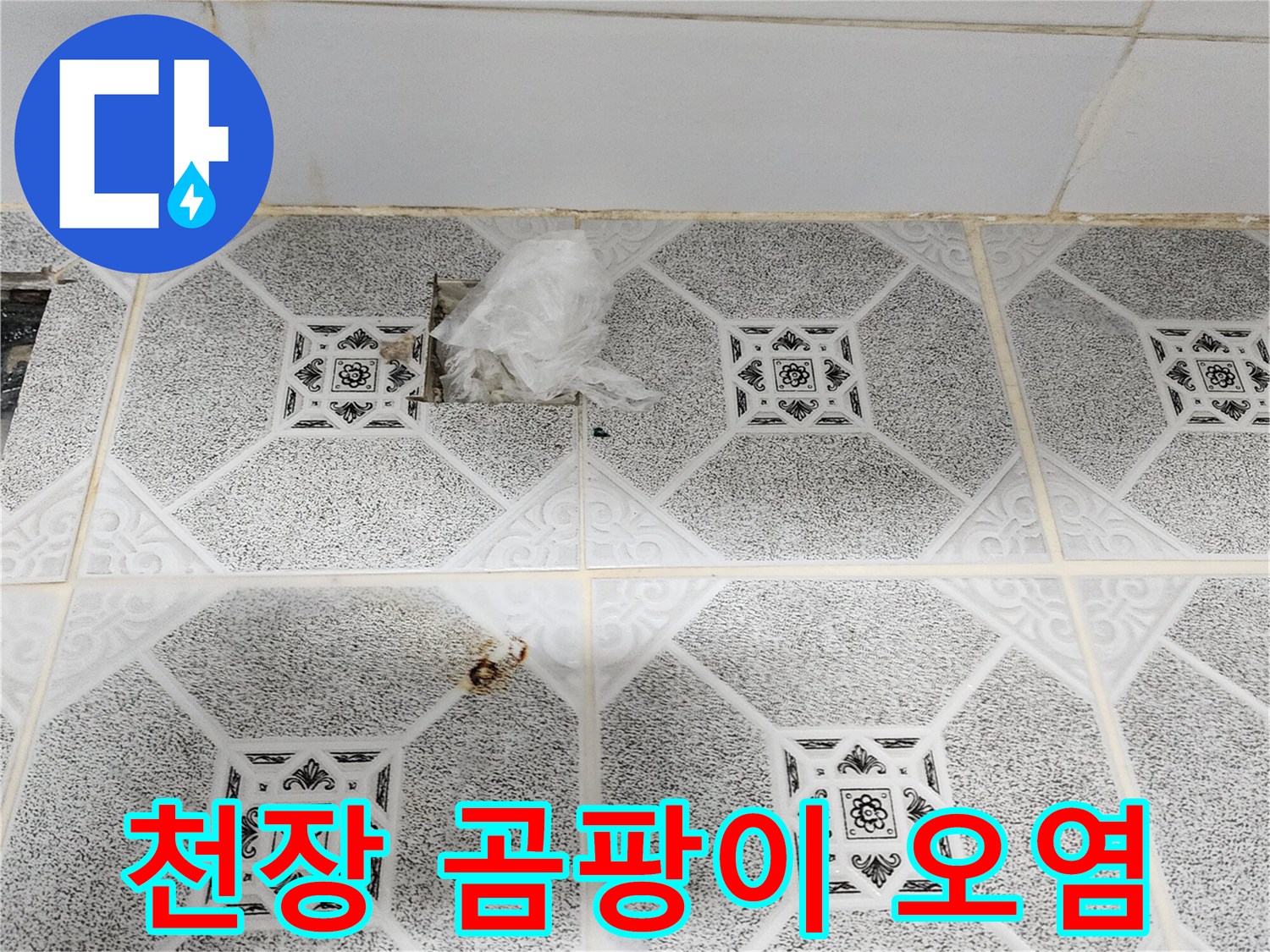 심각하게 오염된 천장 마감재의 곰팡이 상태
