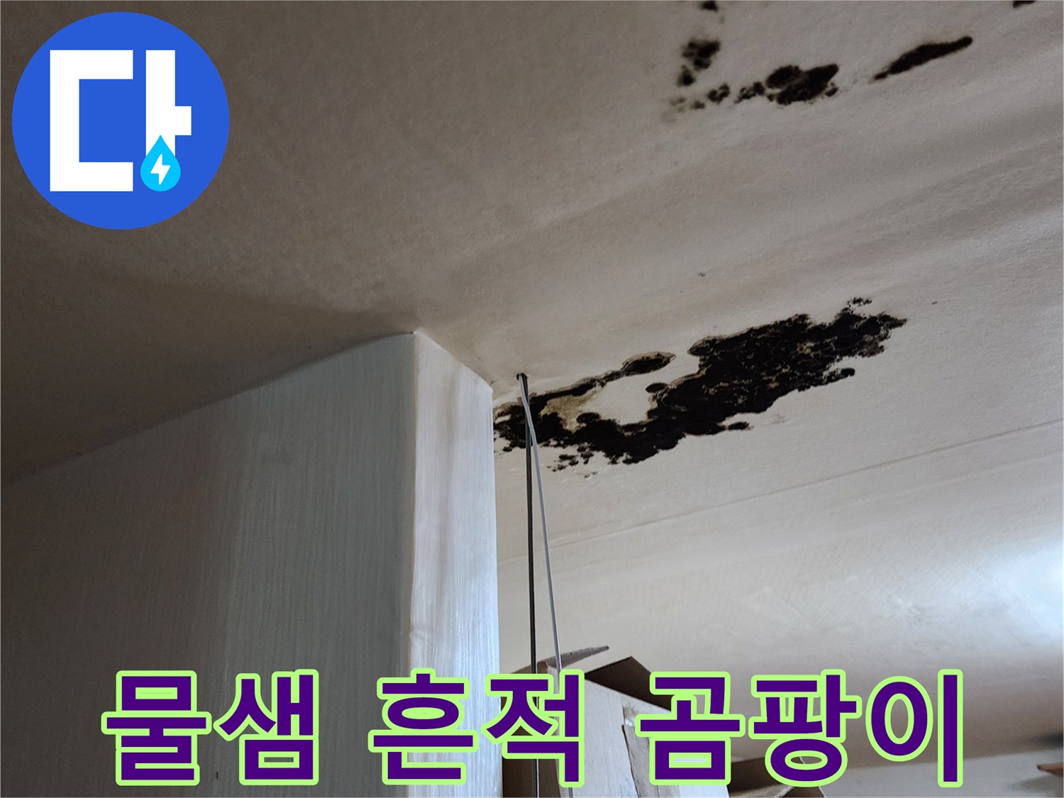 심하게 오염된 천장 마감재와 곰팡이 발생 부위