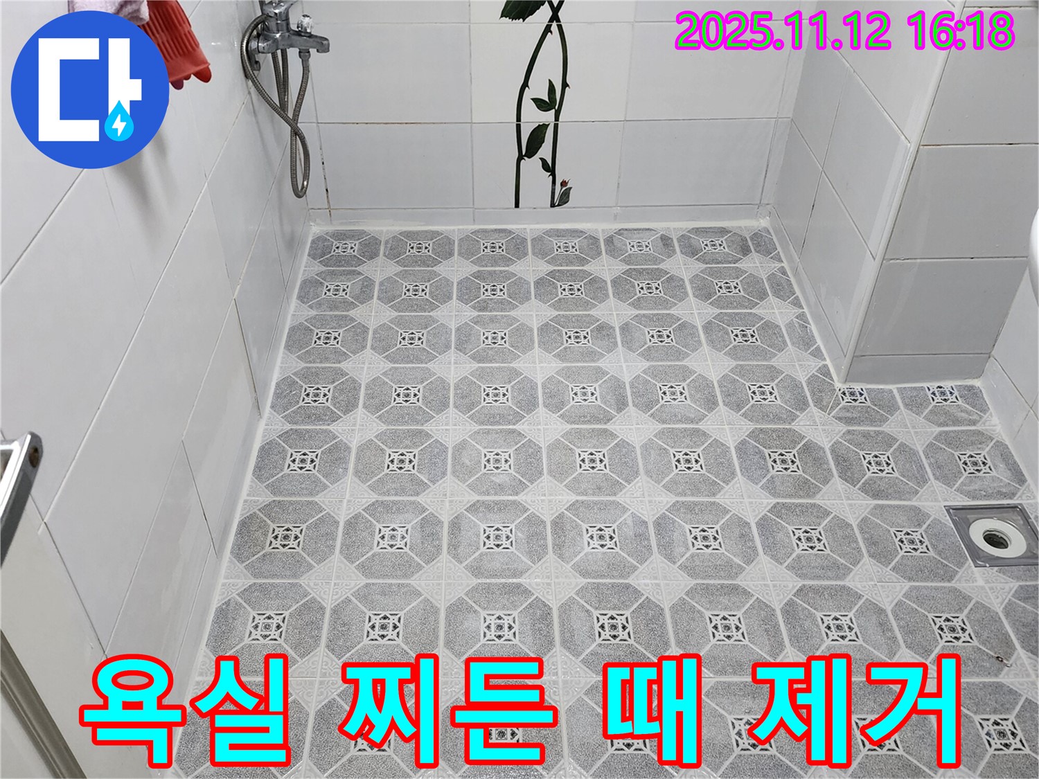 욕실 청소 - 찌든 때와 곰팡이 완벽 제거!