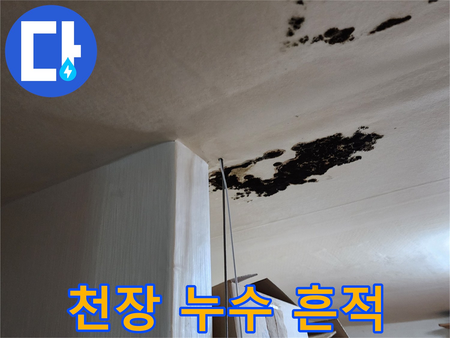 천장 부위에 발생한 검은 곰팡이와 습기 얼룩