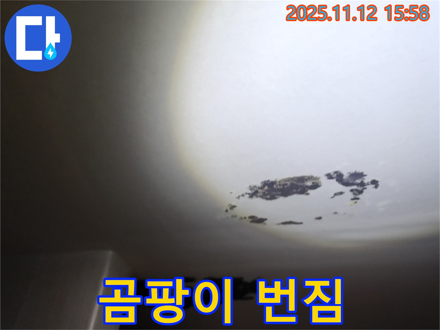 포천 구읍리 - 곰팡이가 번지기 시작한 천장 누수 현장