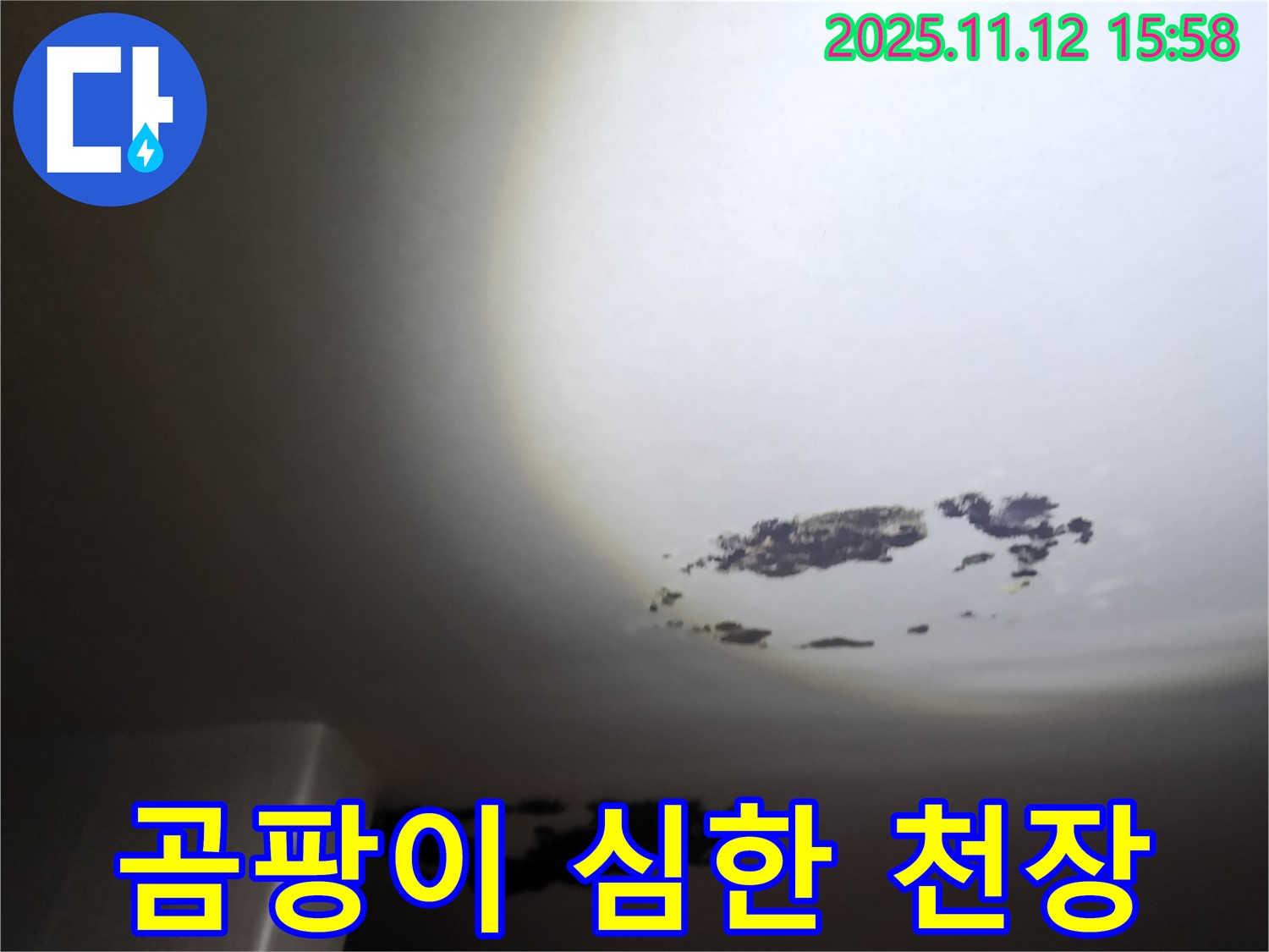 포천 구읍리 - 곰팡이가 심하게 핀 천장 누수 현장