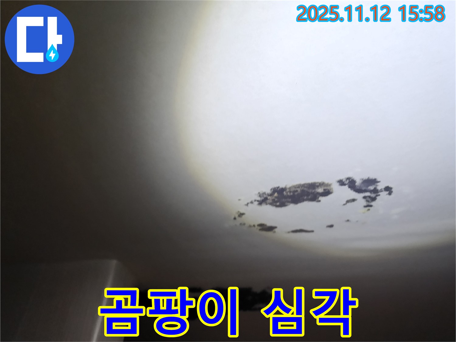 포천 구읍리 - 곰팡이가 심하게 핀 천장 누수 현장
