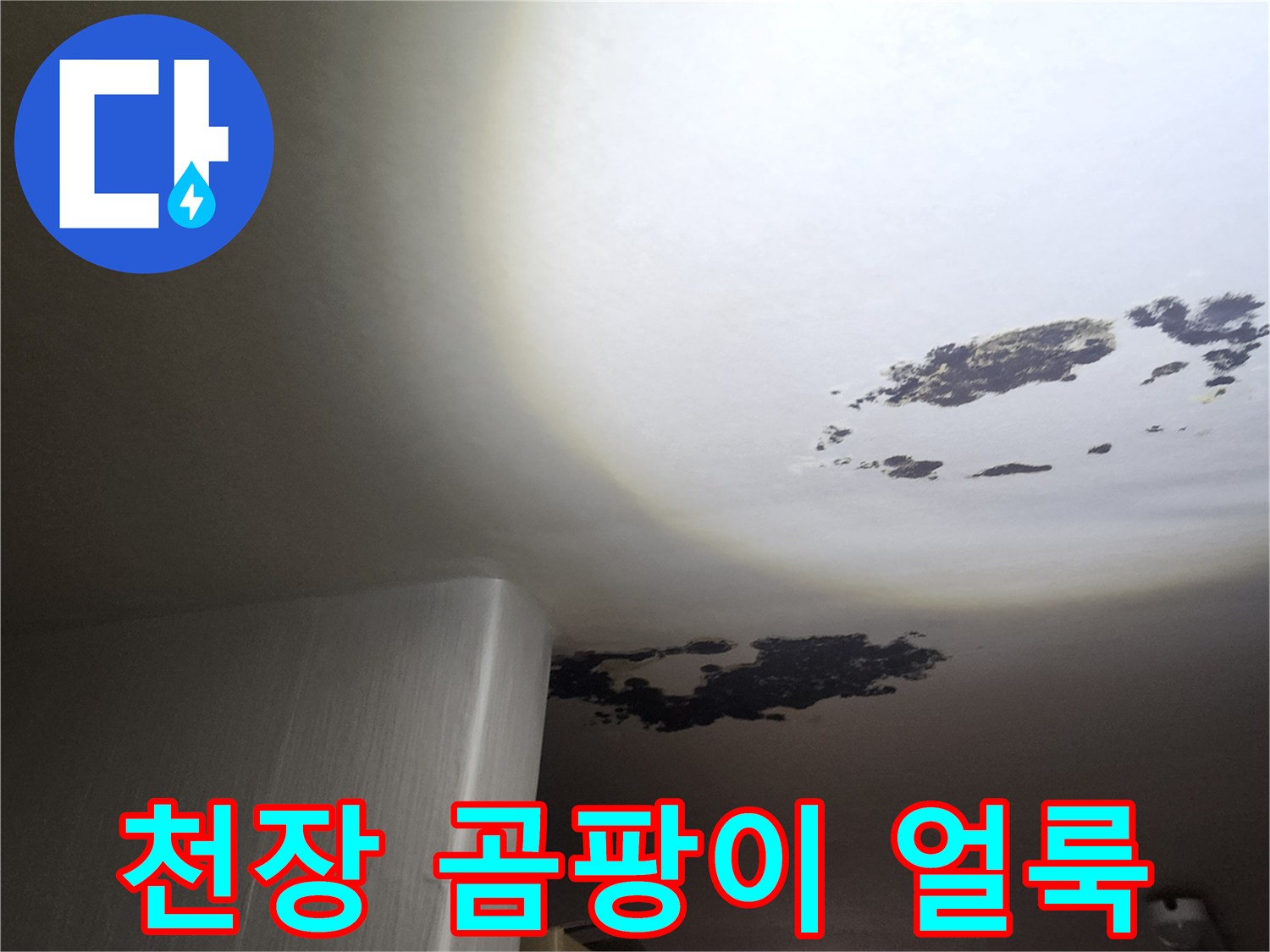 포천 구읍리 현장-심각하게 변색된 천장 곰팡이