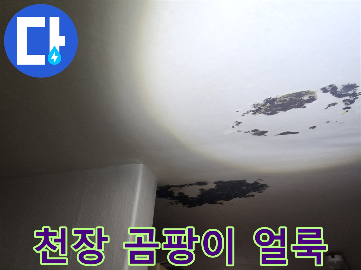 포천 구읍리 현장의 천장 곰팡이 및 물 얼룩 상태