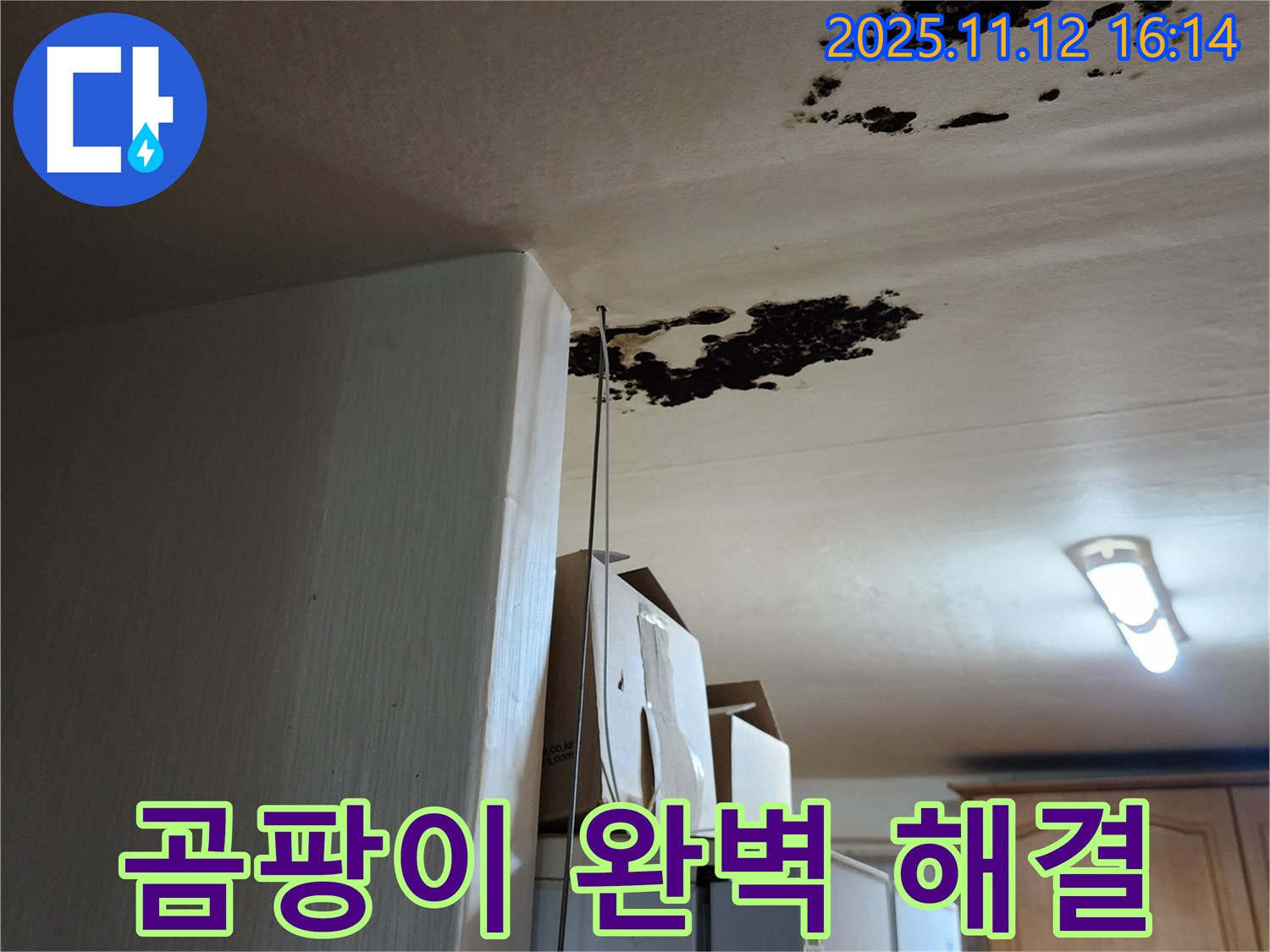 포천 누수 - 곰팡이, 곰팡이균, 곰팡이 냄새, 완벽 해결