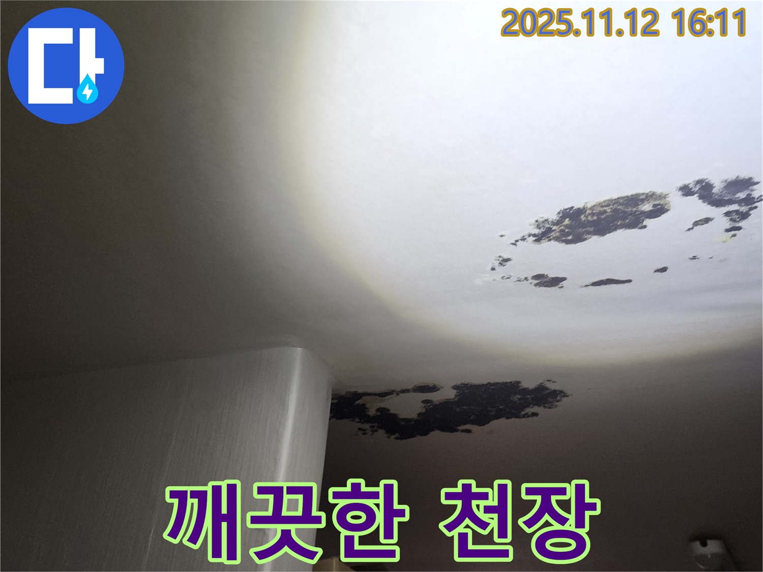 포천 누수 - 곰팡이 누수, 깨끗한 천장 만들기