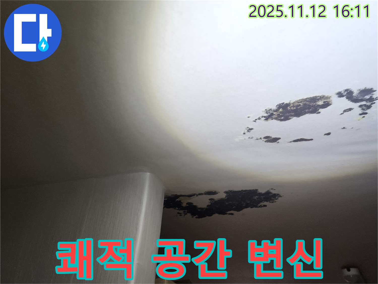 포천 누수 - 곰팡이 천장, 쾌적 공간으로 완벽 변신