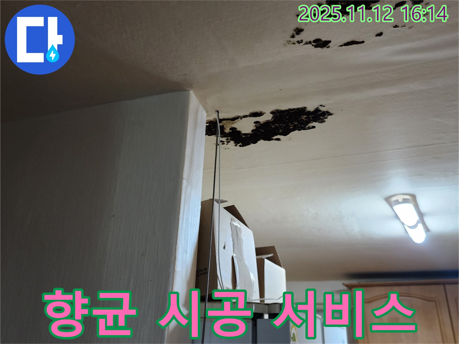 포천 천장 누수 - 곰팡이 제거 후 향균 시공 서비스