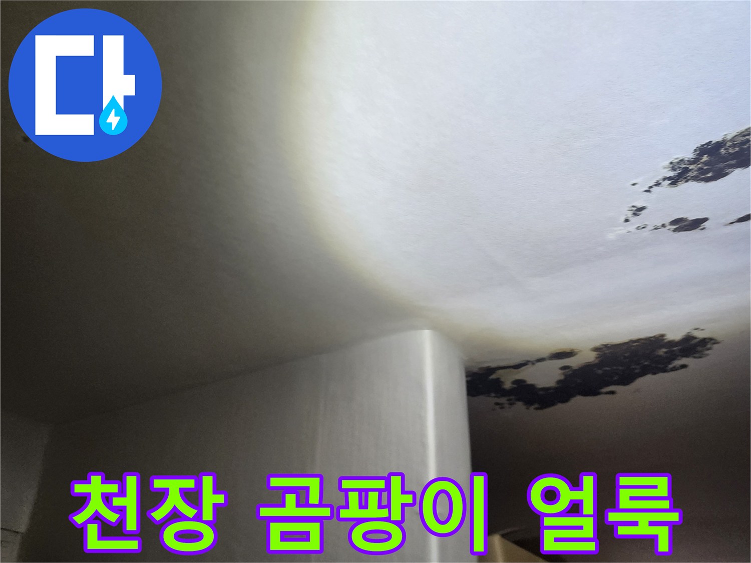 포천시 군내면-천장 곰팡이와 물 얼룩 상태 사진
