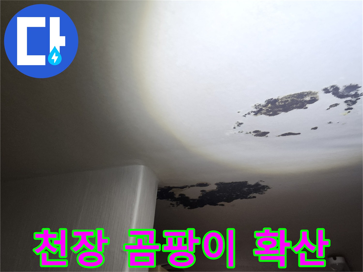 확산 중인-천장의 검은 곰팡이와 물 얼룩 부위