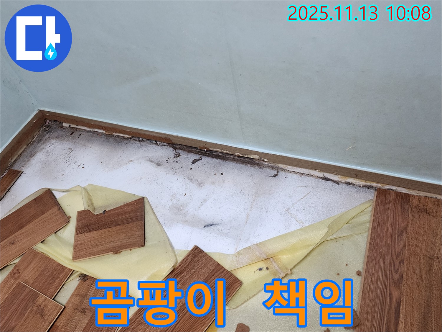 용정리 누수 - 장판 밑 곰팡이 - 쾌적한 보금자리, 우리가 책임지고 만들어 드립니다.