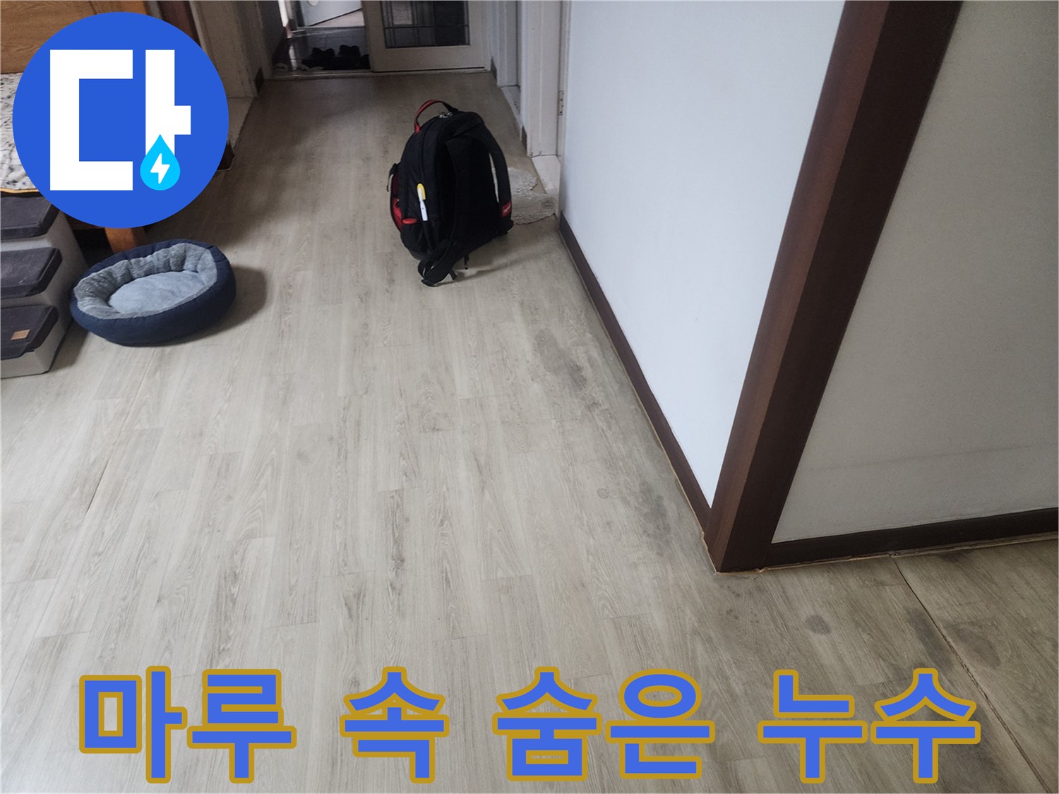 권선구 누수탐지 - 마루 속 숨은 누수 해결