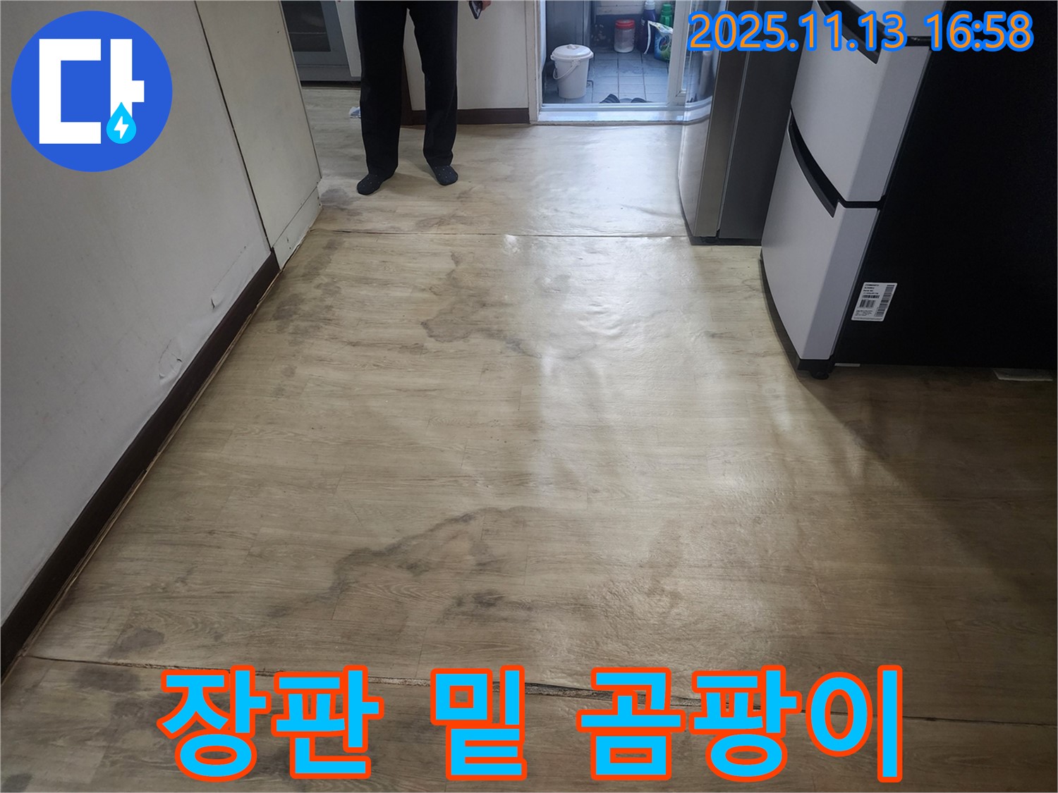 권선동 두산동아아파트 누수 - 장판 밑 곰팡이, 심각한 누수 상황
