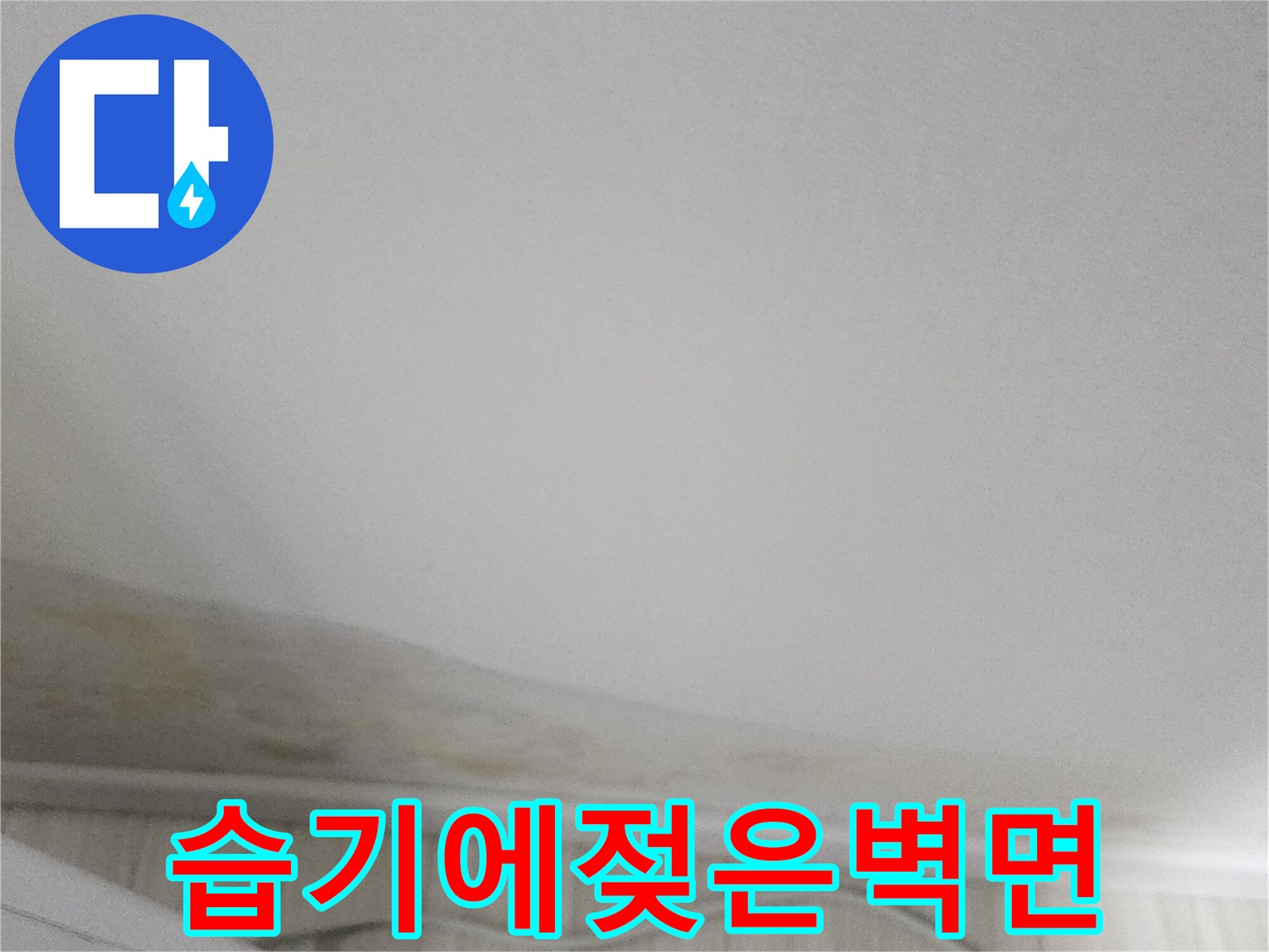 벽면-하단-누런-얼룩과-습기