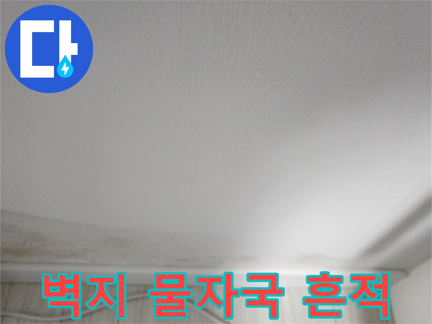 벽지와 걸레받이 사이의 오염된 부위