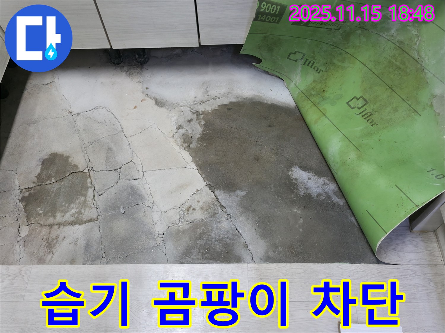 포천 선경빌라 누수 - 콘크리트 습기와 곰팡이 누수 완벽 차단 작업