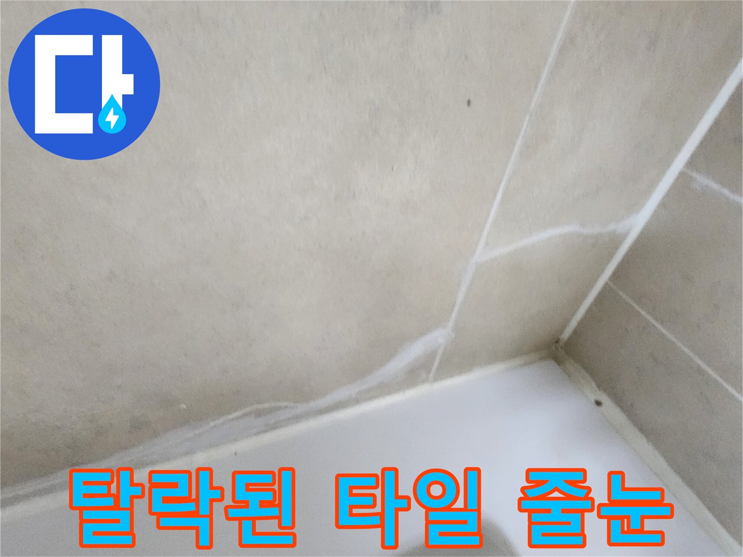 끊어진 백시멘트 라인과 틈새
