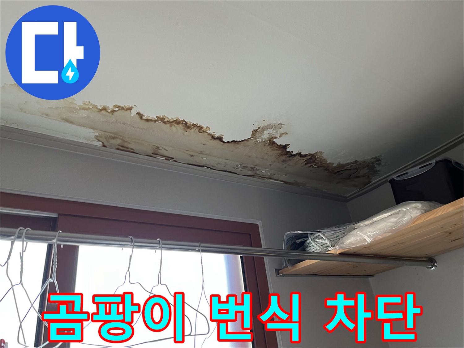 의정부 가능동 빌라 천장 누수 - 곰팡이 번식 차단을 위한 긴급 조치!