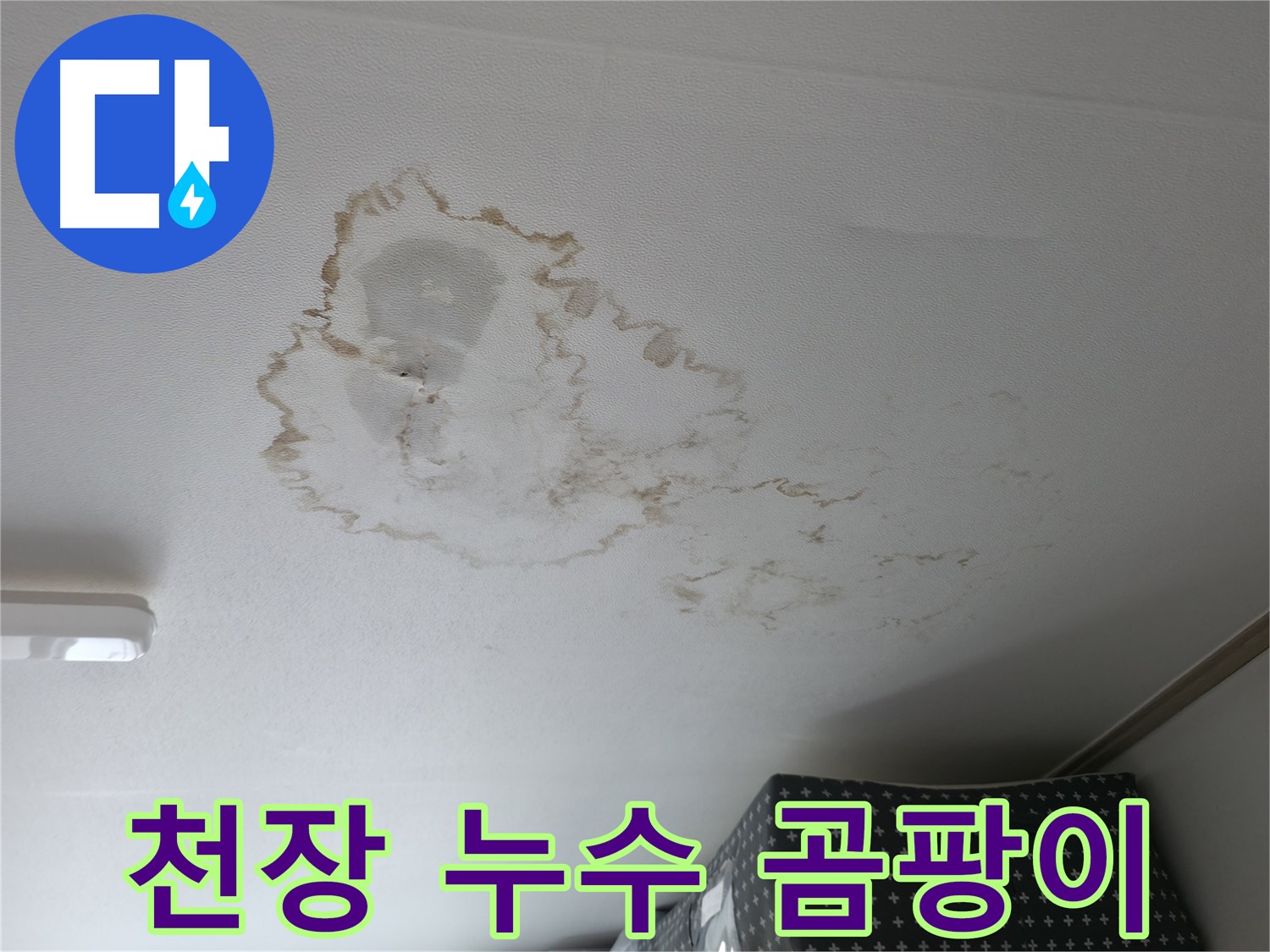 천장 누수 - 곰팡이 - 건강 위협