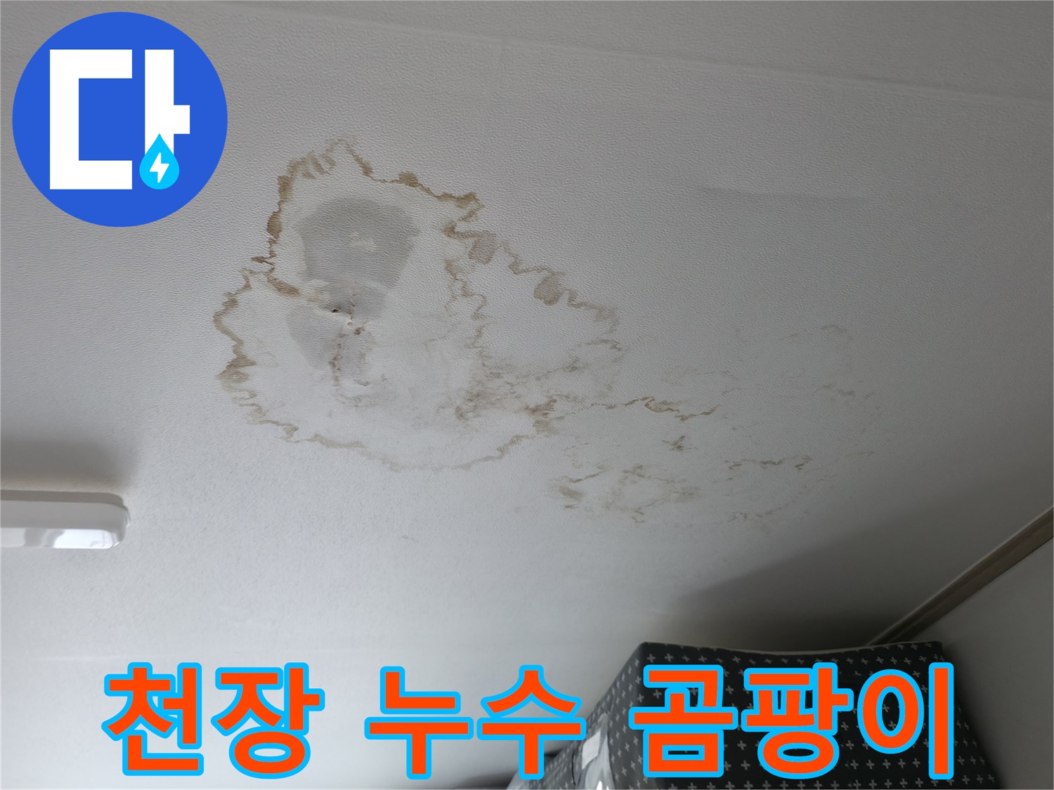천장 누수 - 곰팡이 - 건강 위협