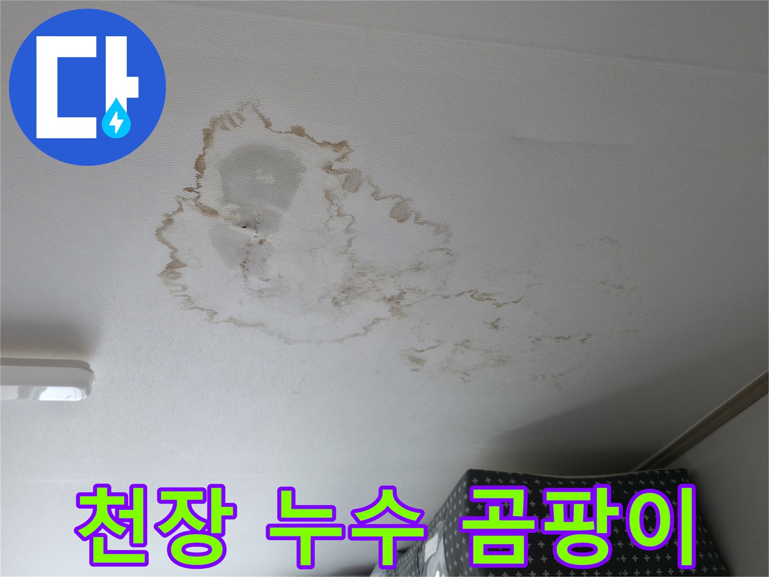 천장 누수 - 곰팡이 - 건강 위협