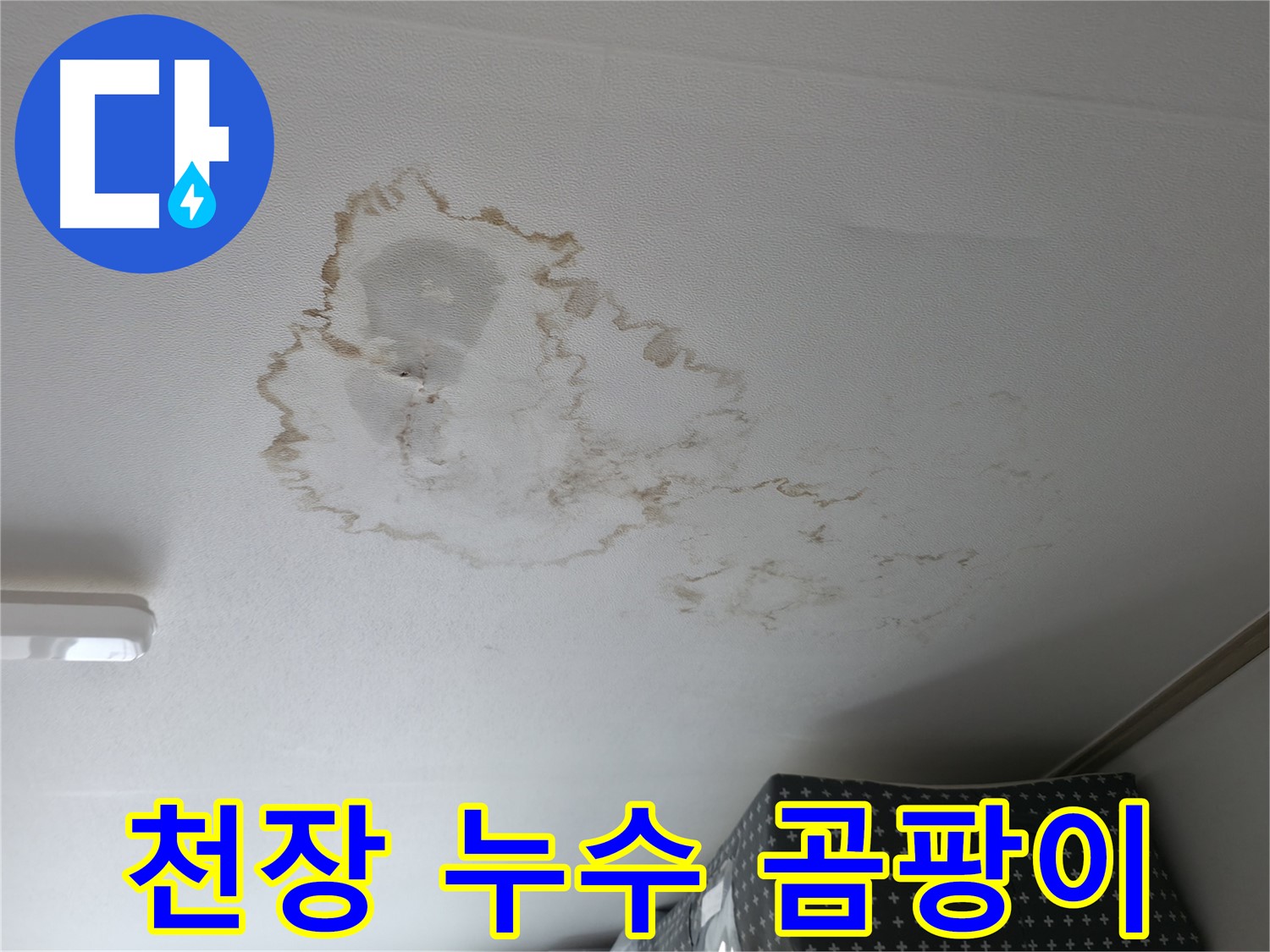 천장 누수 - 곰팡이 - 건강 위협