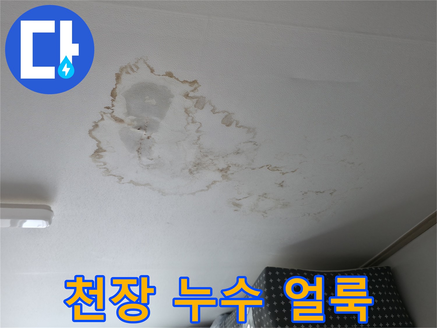 천장 누수 - 얼룩 - 건물 손상