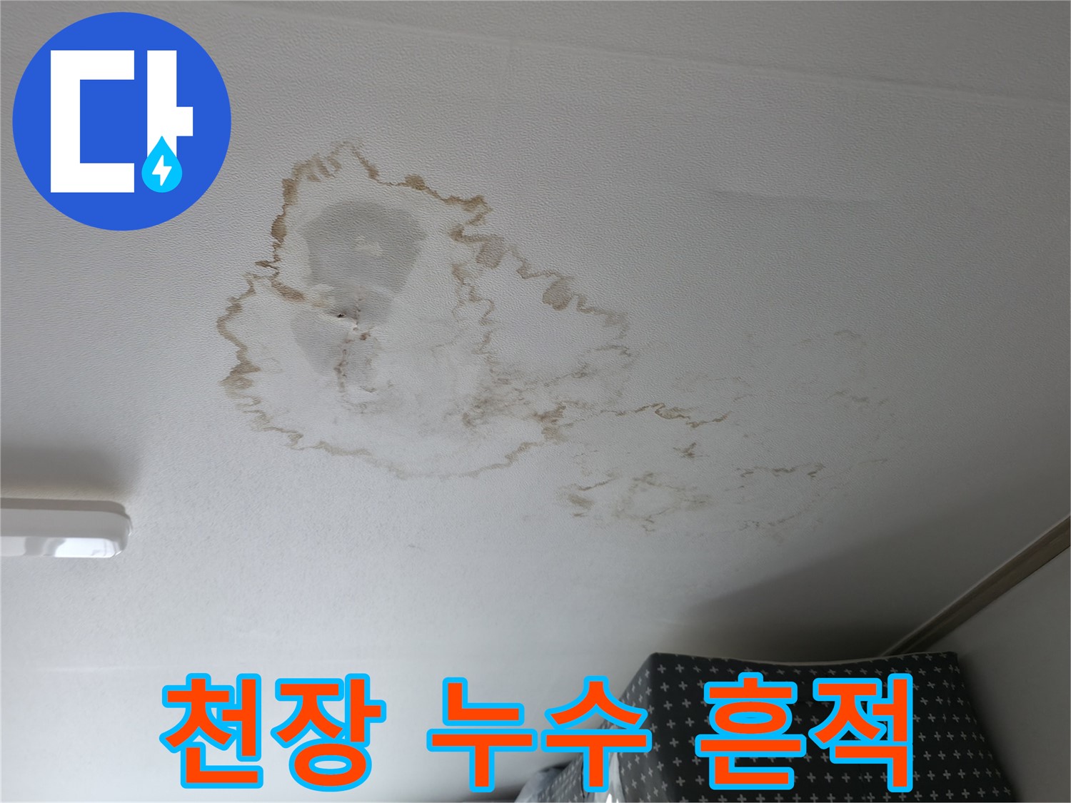천장 누수 - 흔적 - 곰팡이