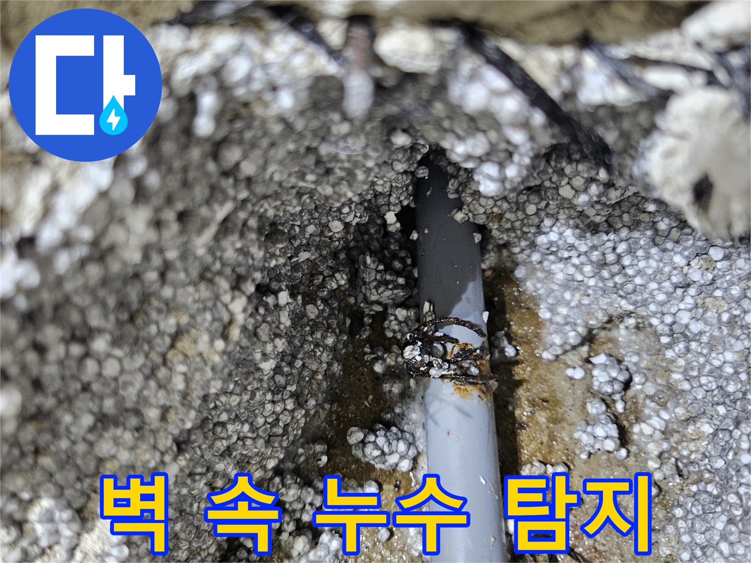 이천 마장면 벽 속 숨은 누수 첨단 장비 탐지