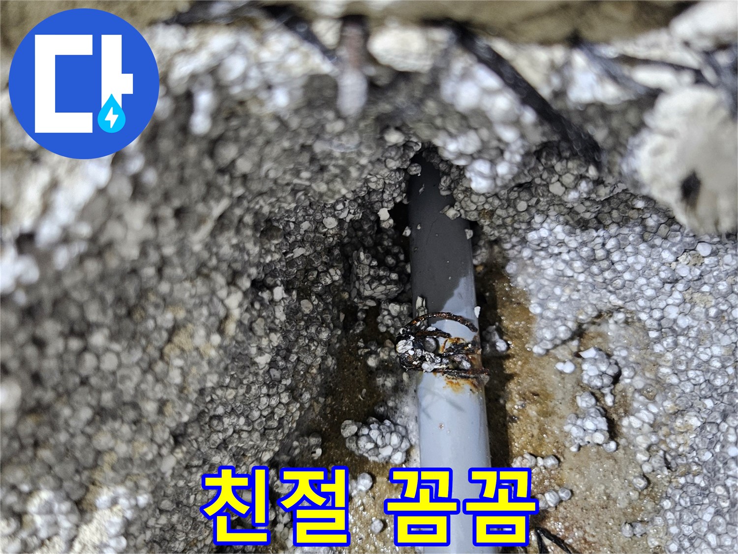이천 마장면 친절하고 꼼꼼한 서비스 약속