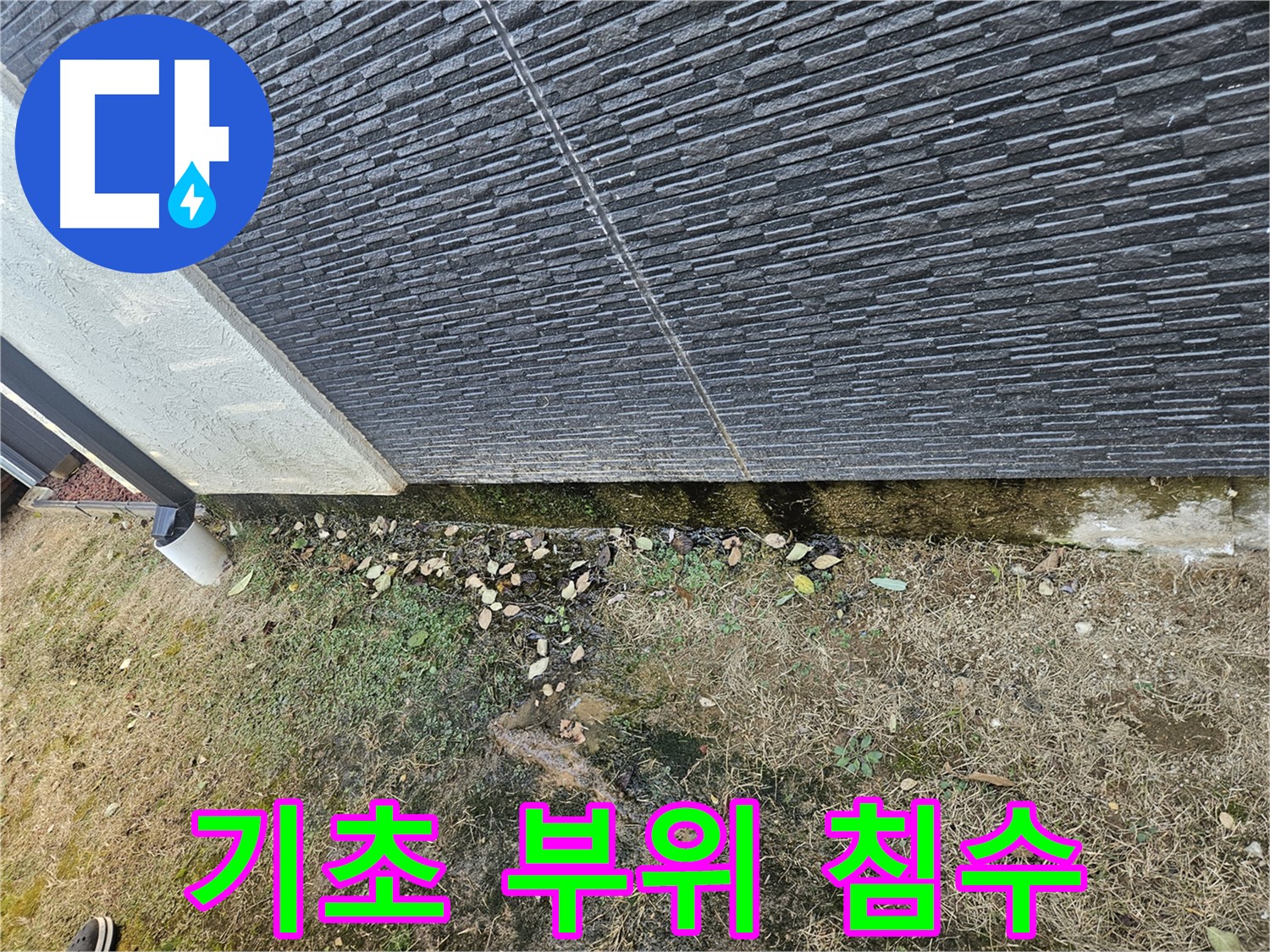 이천시 설성면 주택 - 외벽 누수 - 기초 부위 손상 및 침수