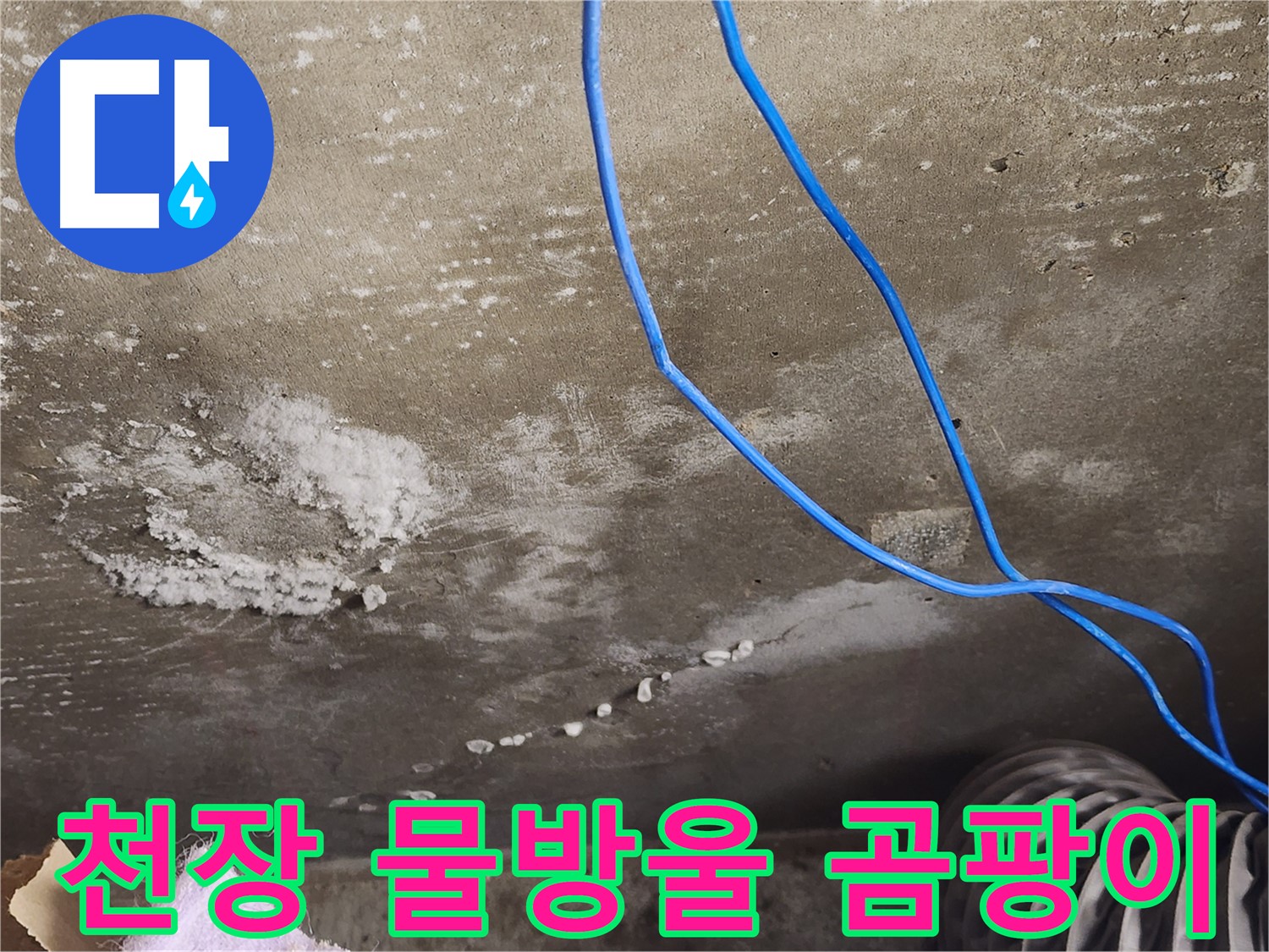 기흥구 콘크리트 천장 - 물방울과 곰팡이 - 완벽 누수 해결