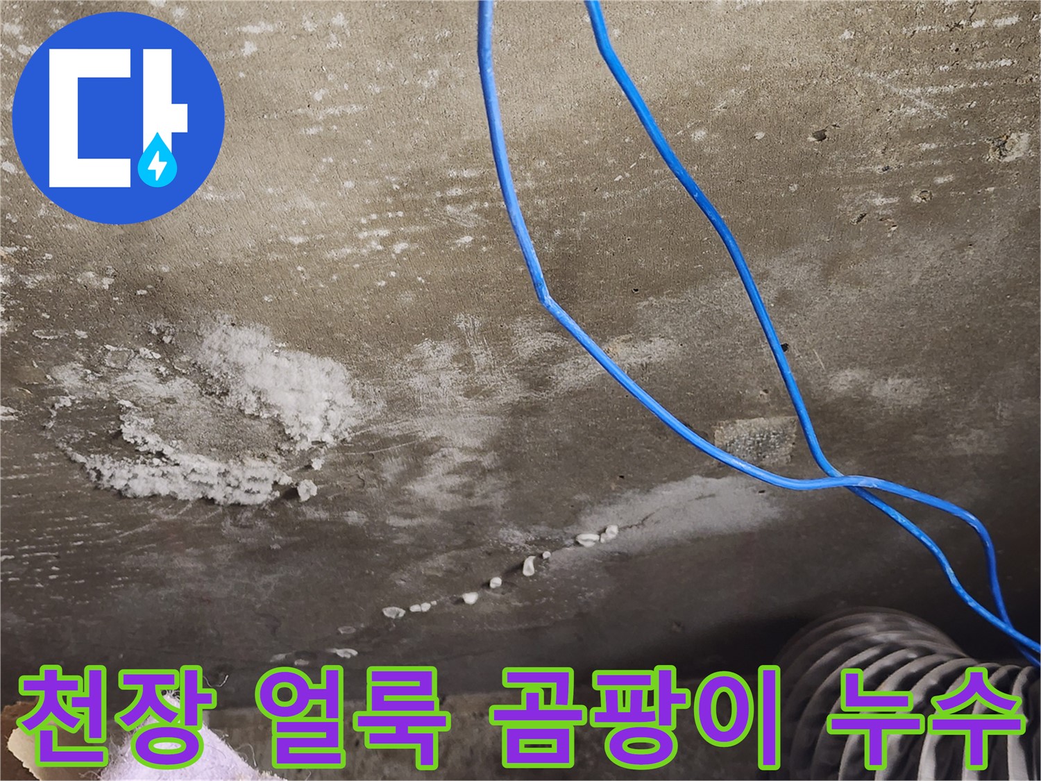 기흥구 - 콘크리트 천장 얼룩 - 곰팡이 발생 - 완벽 누수 해결