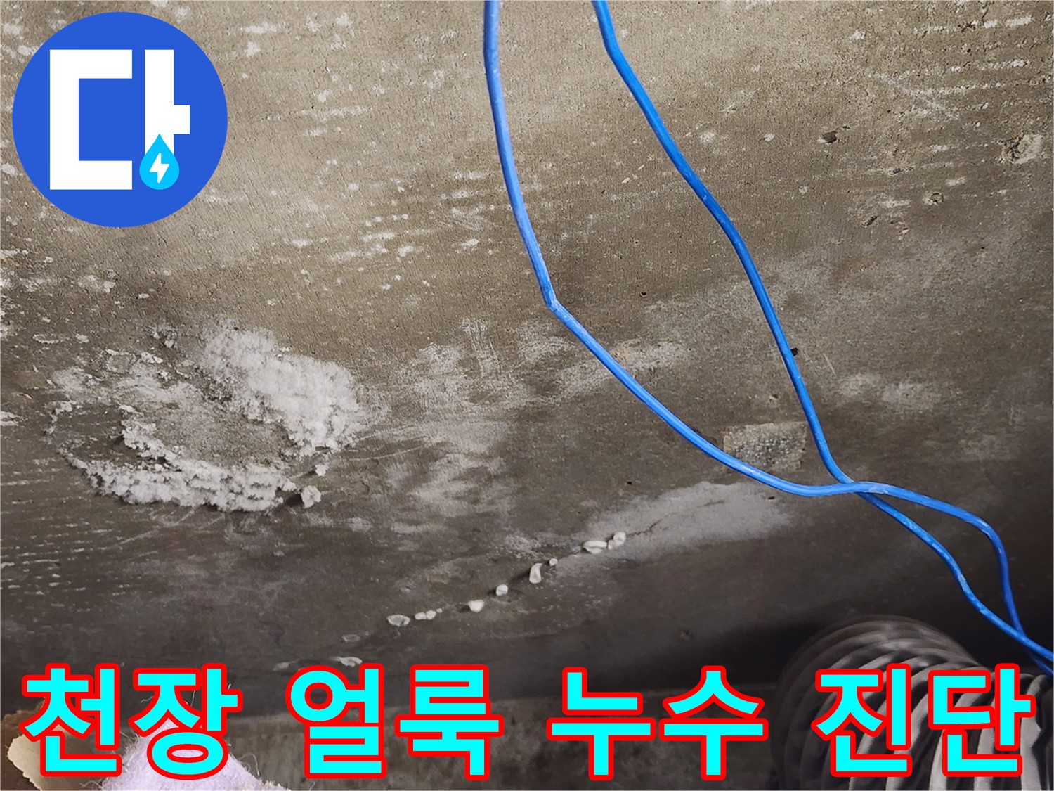 용인 - 콘크리트 천장 얼룩 - 누수와 결로 정확한 진단