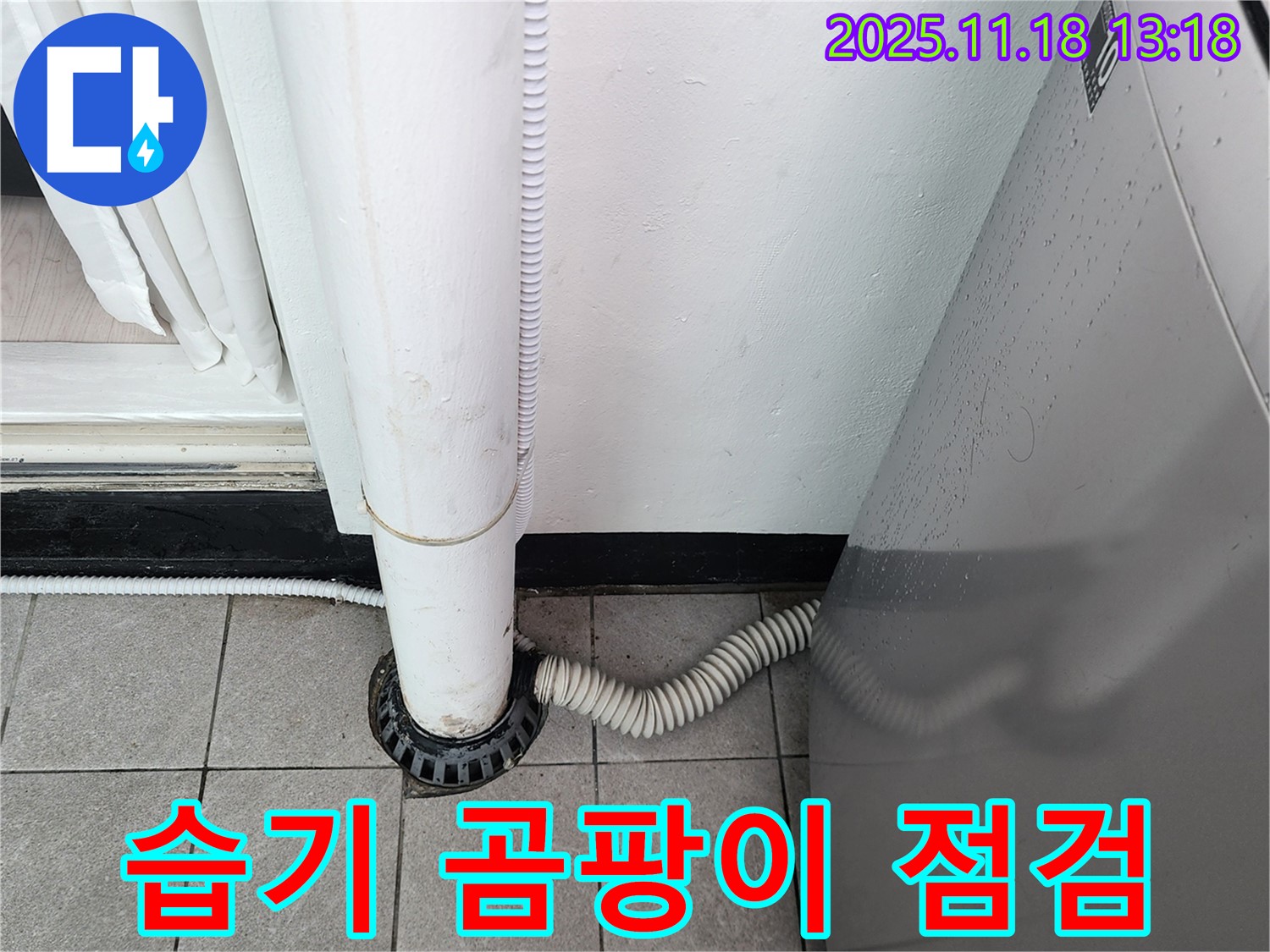 세탁기 배수구 주변에 - 습기가 많아 곰팡이가 우려됩니다.