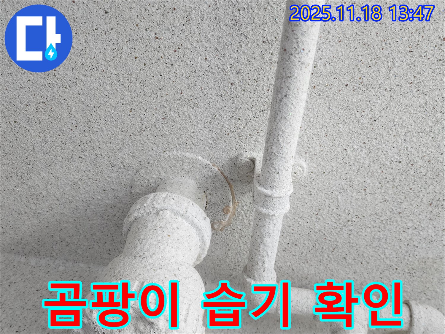 진목리 누수 - 곰팡이