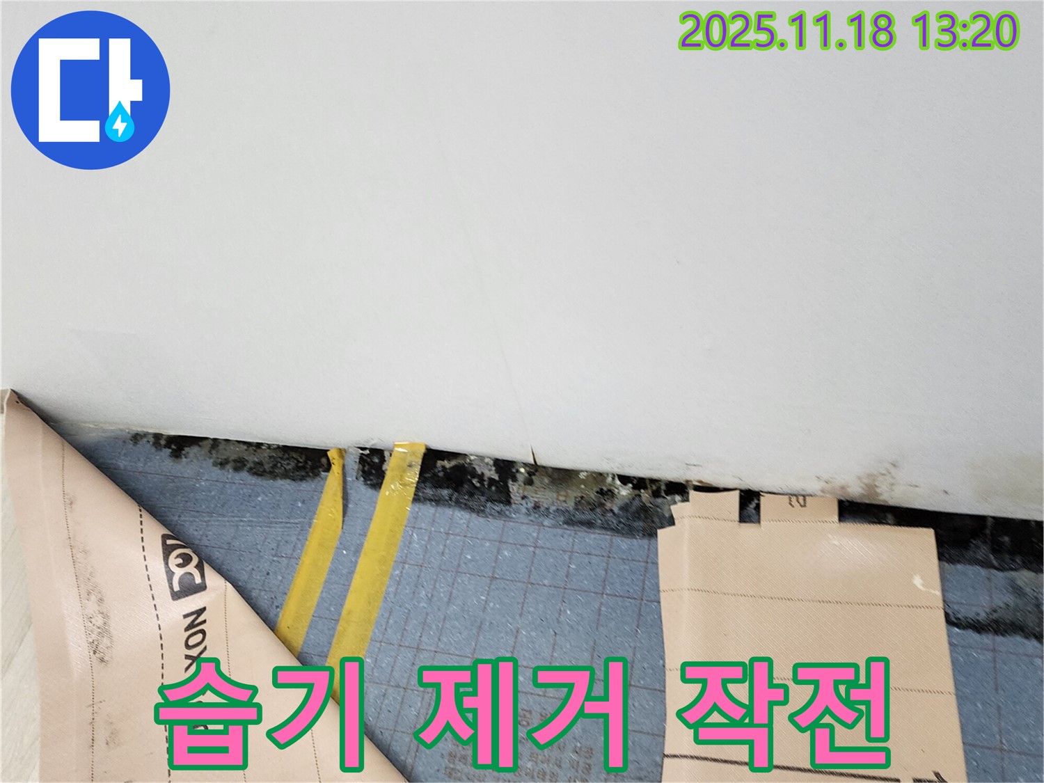 포천 내촌 누수 - 곰팡이, 장판 밑 습기 제거 대작전 개시!