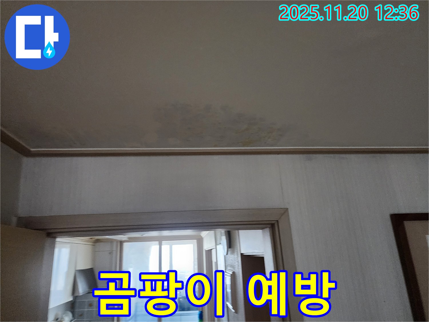 광명 누수 - 철산동 아파트 천장 누수, 곰팡이 발생 전 조치