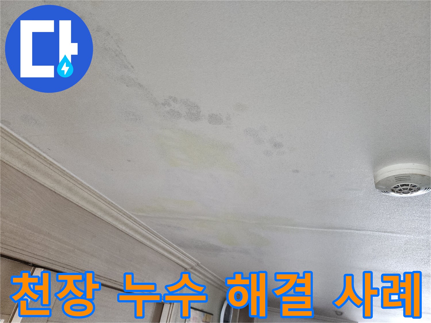 두산위브 103동 천장 누수 해결 - 성공적인 누수 해결 사례