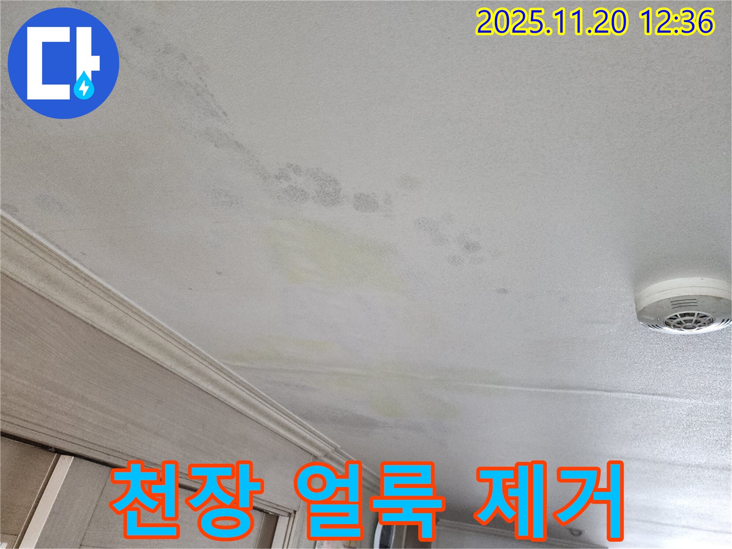 철산동 두산위브 아파트 누수 - 천장 얼룩 완벽 제거