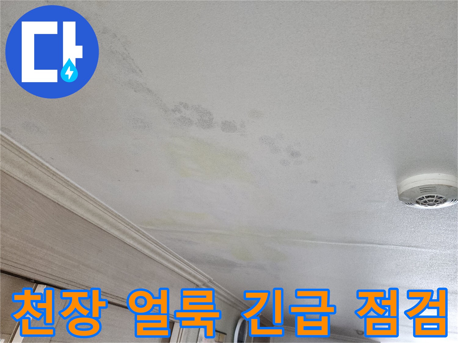 철산동 두산위브 아파트 천장 얼룩 - 누수 긴급 점검 진행 모습